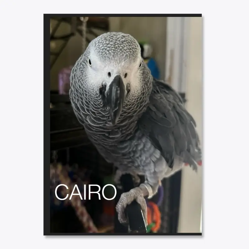 CAIRO photo stickers