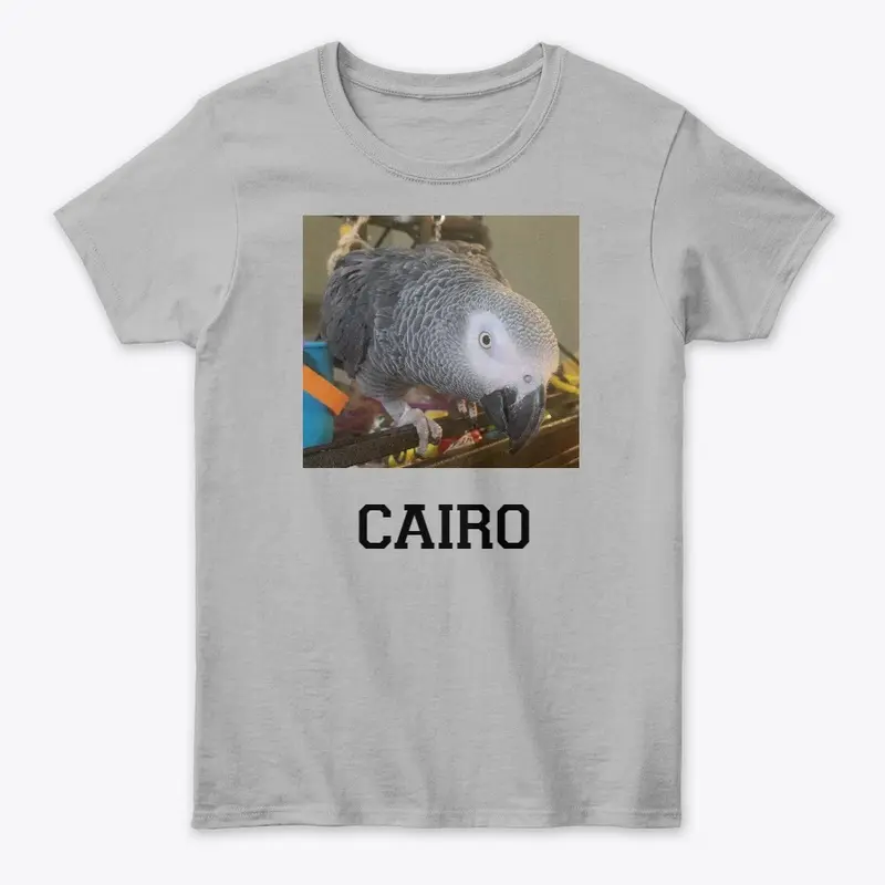 Women's Cairo photo t-shirts