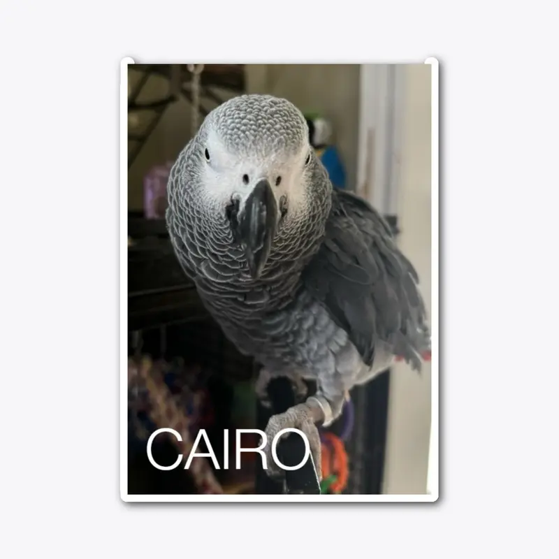 CAIRO photo stickers